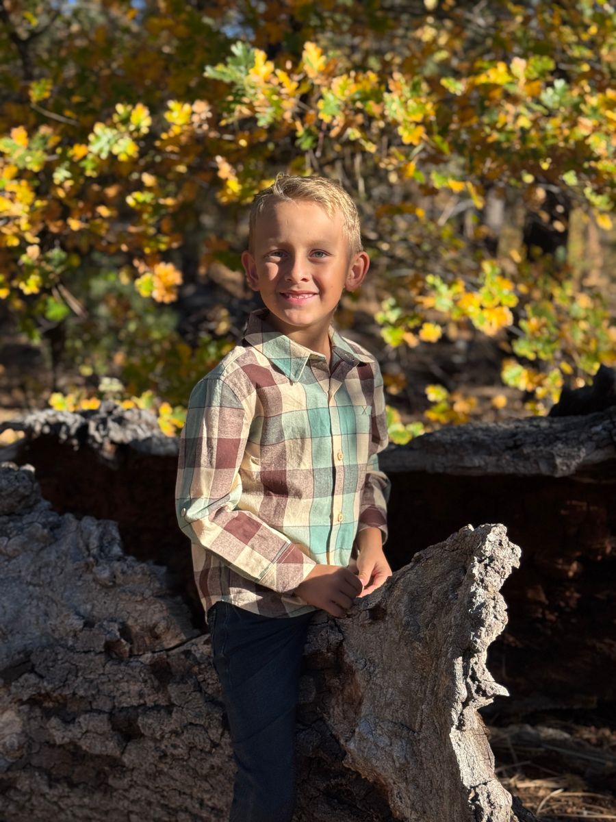 Boys Sage/Beige Large Plaid Atwood Woven Shirt by Me & Henry