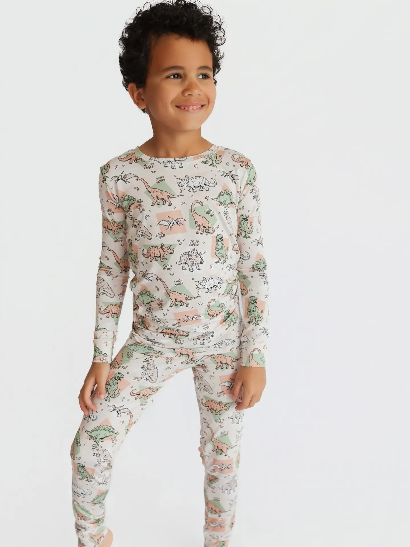 Boys Dino Delight Dream Set by Dream Big Little Co.