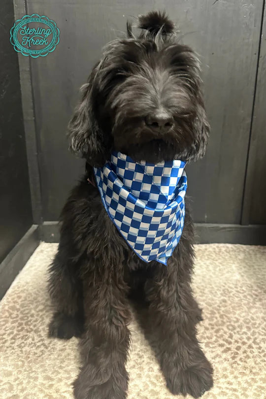 Girls Blue Pep Rally Wildrag by Sterling Kreek