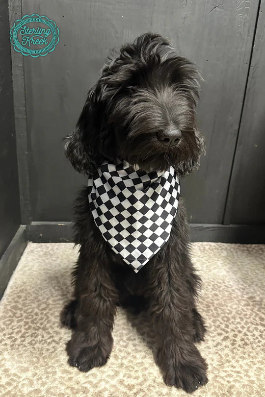 Girls Black Pep Rally Wildrag by Sterling Kreek