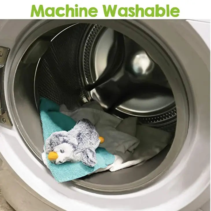 RaZbuddy Jack Dragon Paci/Teether Holder and JollyPop Pacifier