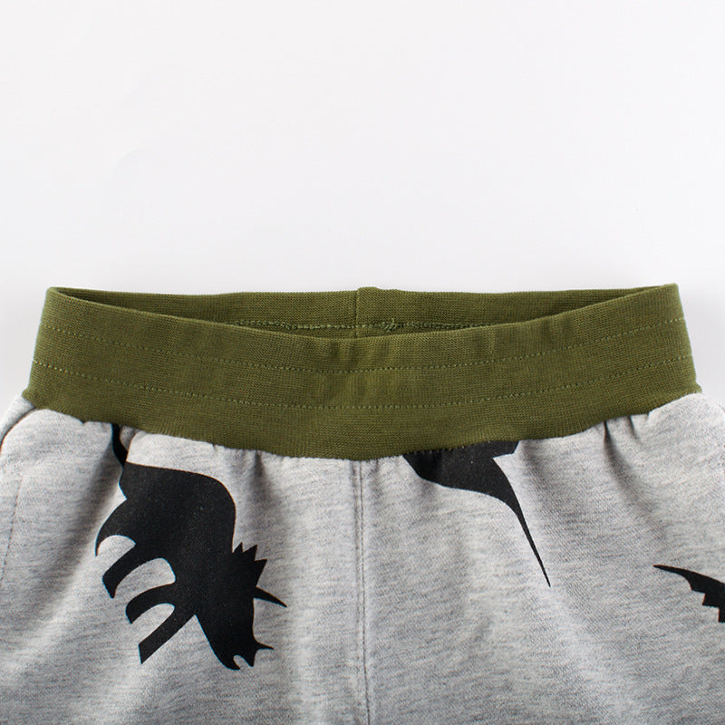 Boys Dinosaur Shorts