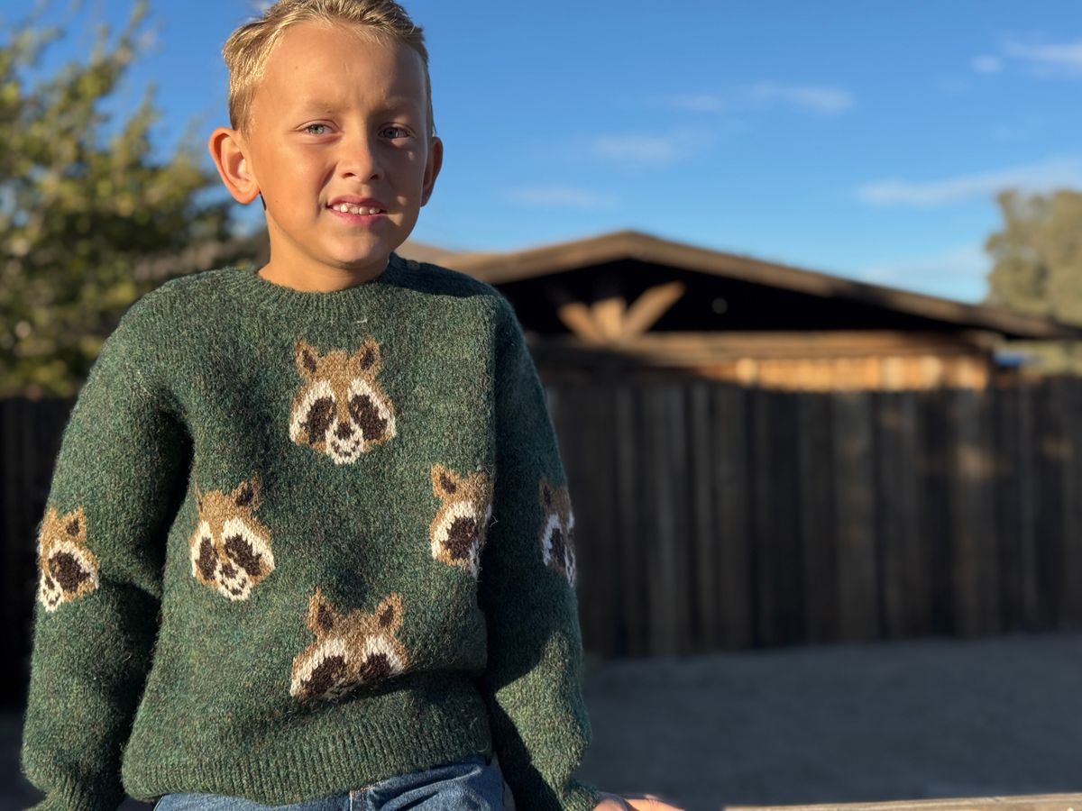 Boys Racoon Woody Sweater by Me & Henry