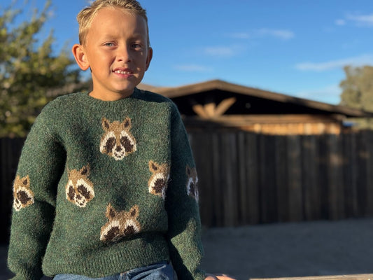 Boys Racoon Woody Sweater by Me & Henry