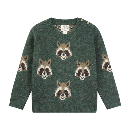 Boys Racoon Woody Sweater by Me & Henry