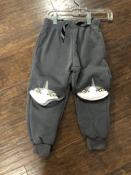 Boys Dark Gray Pants with Shark Knees
