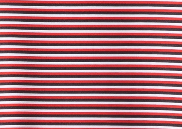 Men's Micro Red, Black & White Stripe Polo by Meripex