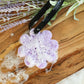 Spongelle Soap Sponges and Body Buffers