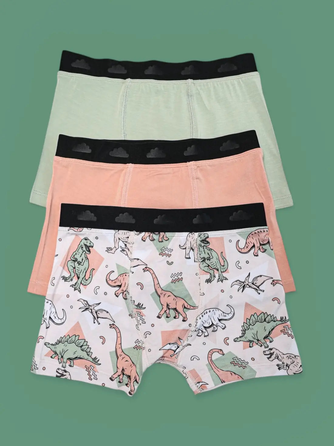 Boys Dino Delight Dream Boxer Brief Set by Dream Big Little Co.