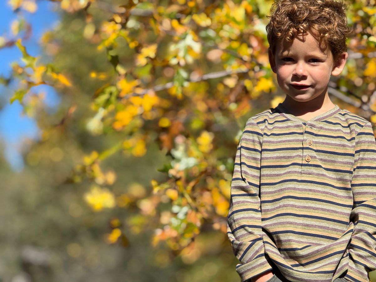 Boys Green Multi Stripe Rib Adams Robbed Henley by Me & Henry