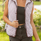 Brown Stripe Contrast Trim Snap Button Collared Winter Vest