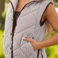 Brown Stripe Contrast Trim Snap Button Collared Winter Vest