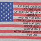 Girls Grey American Flag Pledge T-Shirt by ML Kids
