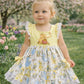 Girls Honey Pot Daydream Lace Twirl Dress by Little Bugz
