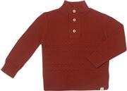 Boys Rust Henley Sweater by Me & Henry