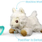 RaZbuddy Lulu Llama Paci/Teether Holder and JollyPop Pacifier