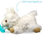 RaZbuddy Lulu Llama Paci/Teether Holder and JollyPop Pacifier